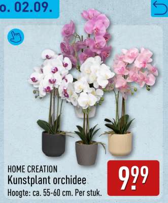 HOME CREATION Kunstplant Orchidee