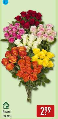 Rozen