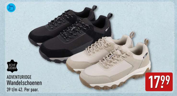 ADVENTURIDGE Wandelschoenen