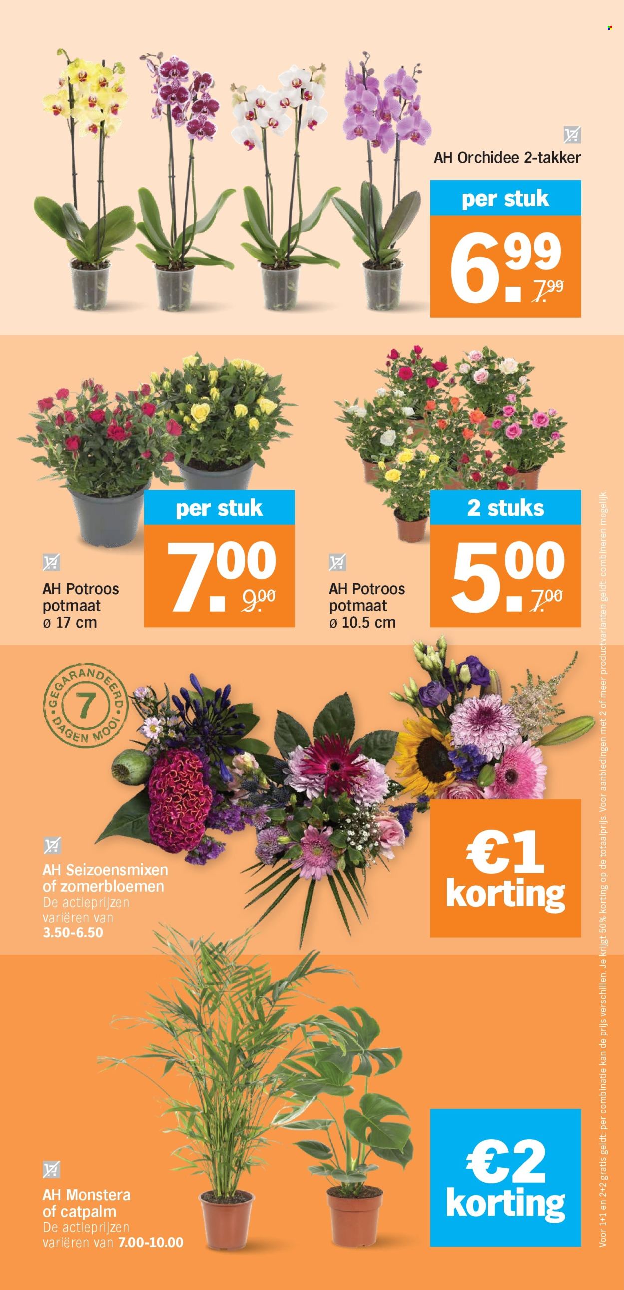 Albert Heijn-aanbieding - 31-8-2026 - 6-9-2026. Pagina 37