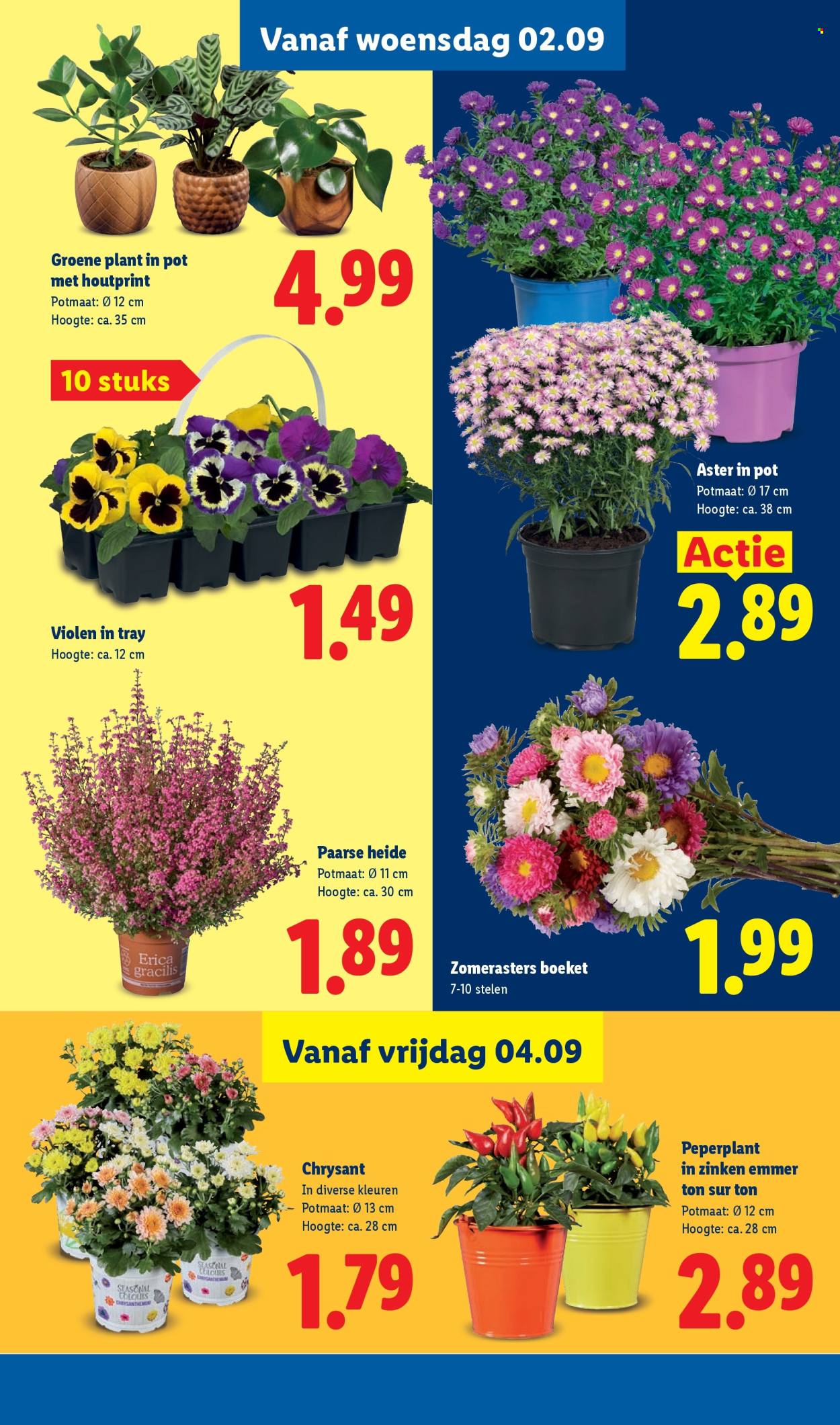 Lidl-aanbieding - 31-8-2026 - 6-9-2026. Pagina 42