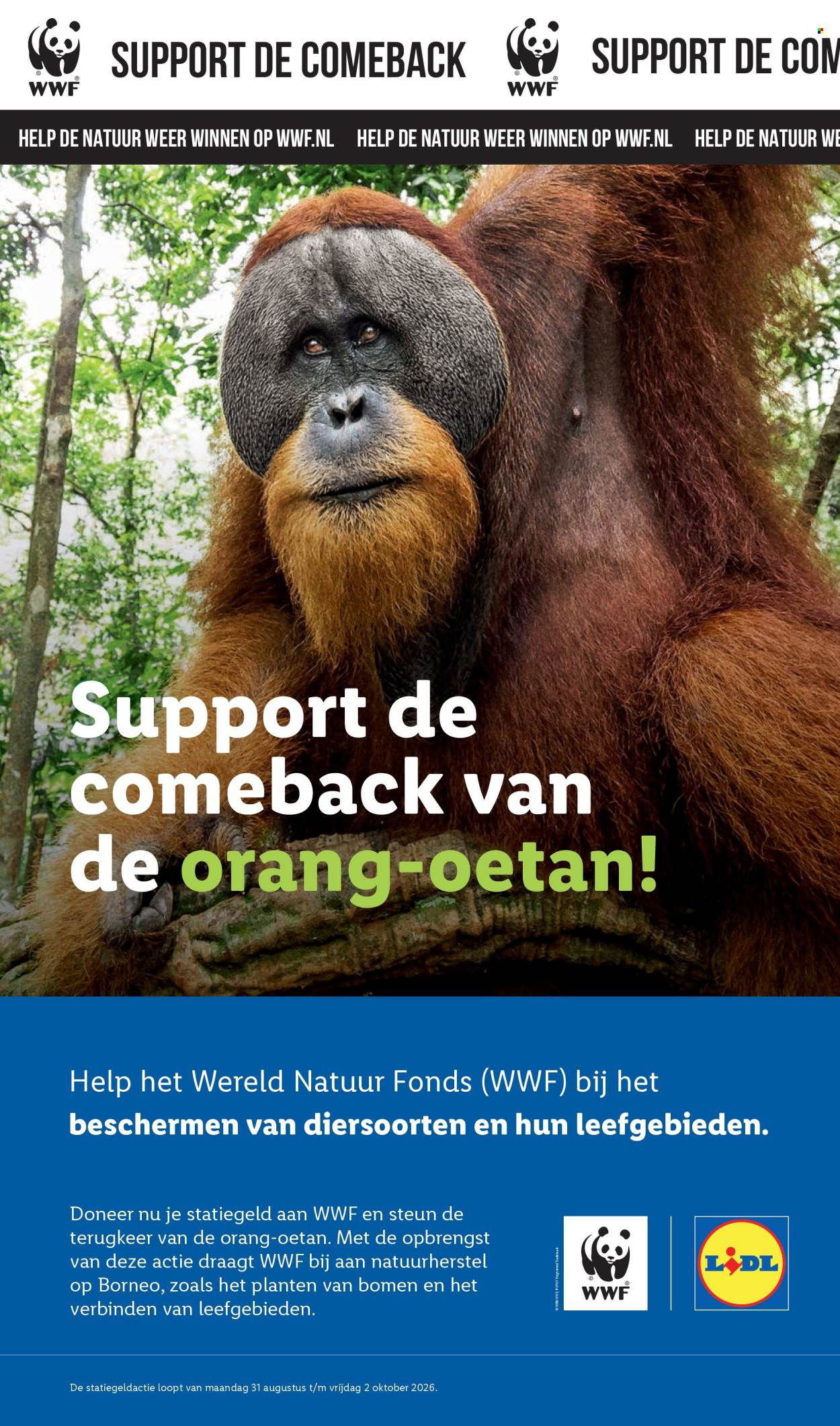 Lidl-aanbieding - 31-8-2026 - 6-9-2026. Pagina 49