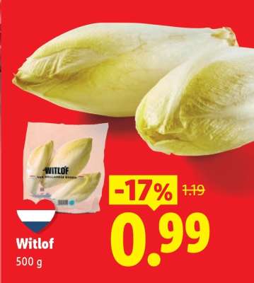 Witlof