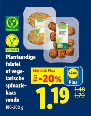 Plantaardige falafel of vegetarische spinazie-kaas rondo
