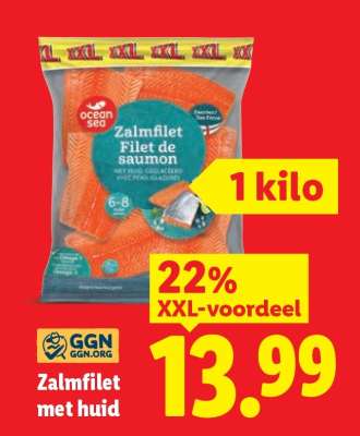 Zalmfilet met Huid