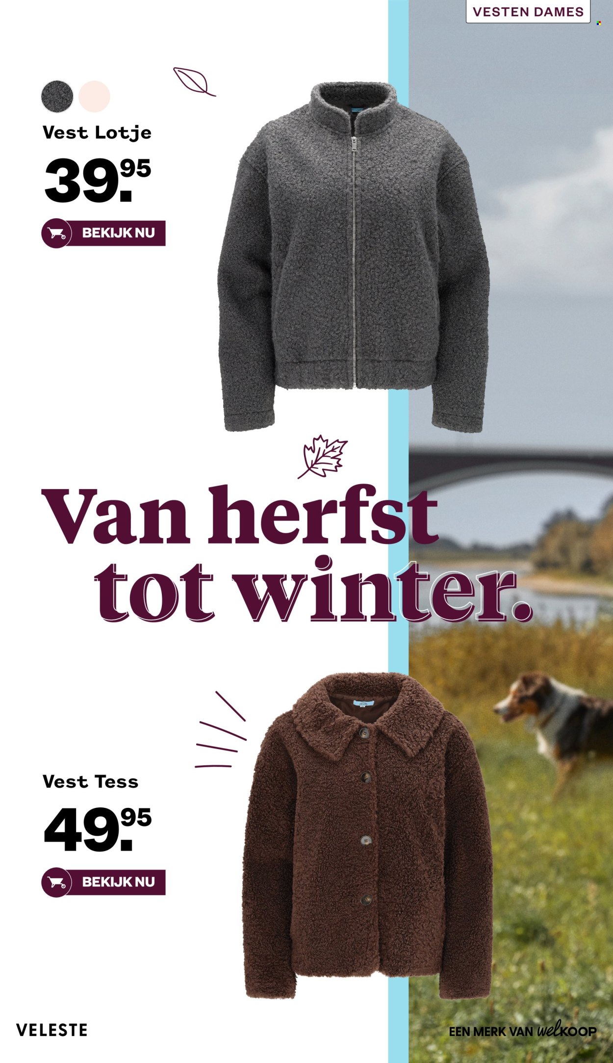 Welkoop-aanbieding. Pagina 40