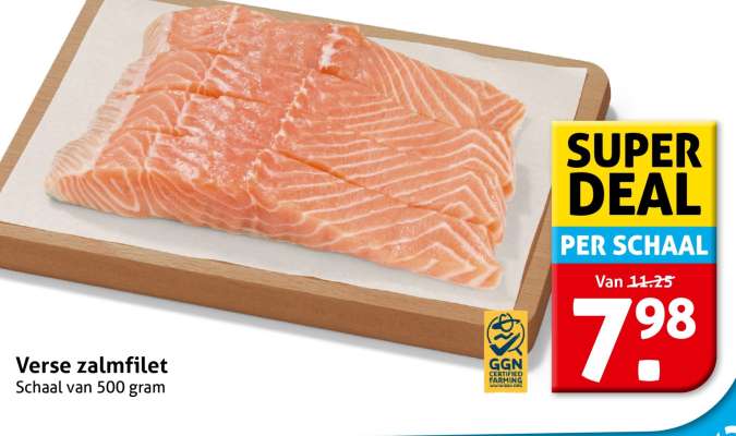 Verse zalmfilet