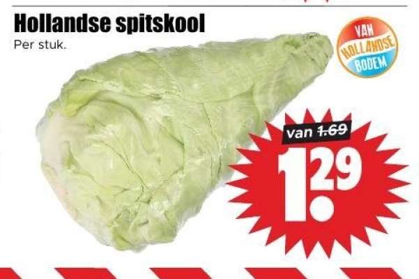 Hollandse spitskool
