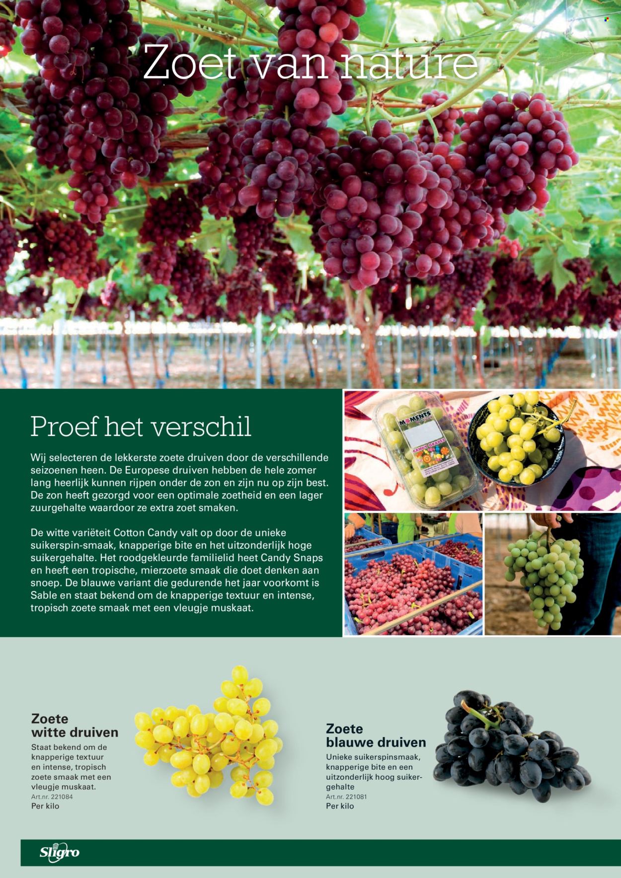 Sligro-aanbieding - 3-9-2026 - 21-9-2026. Pagina 56