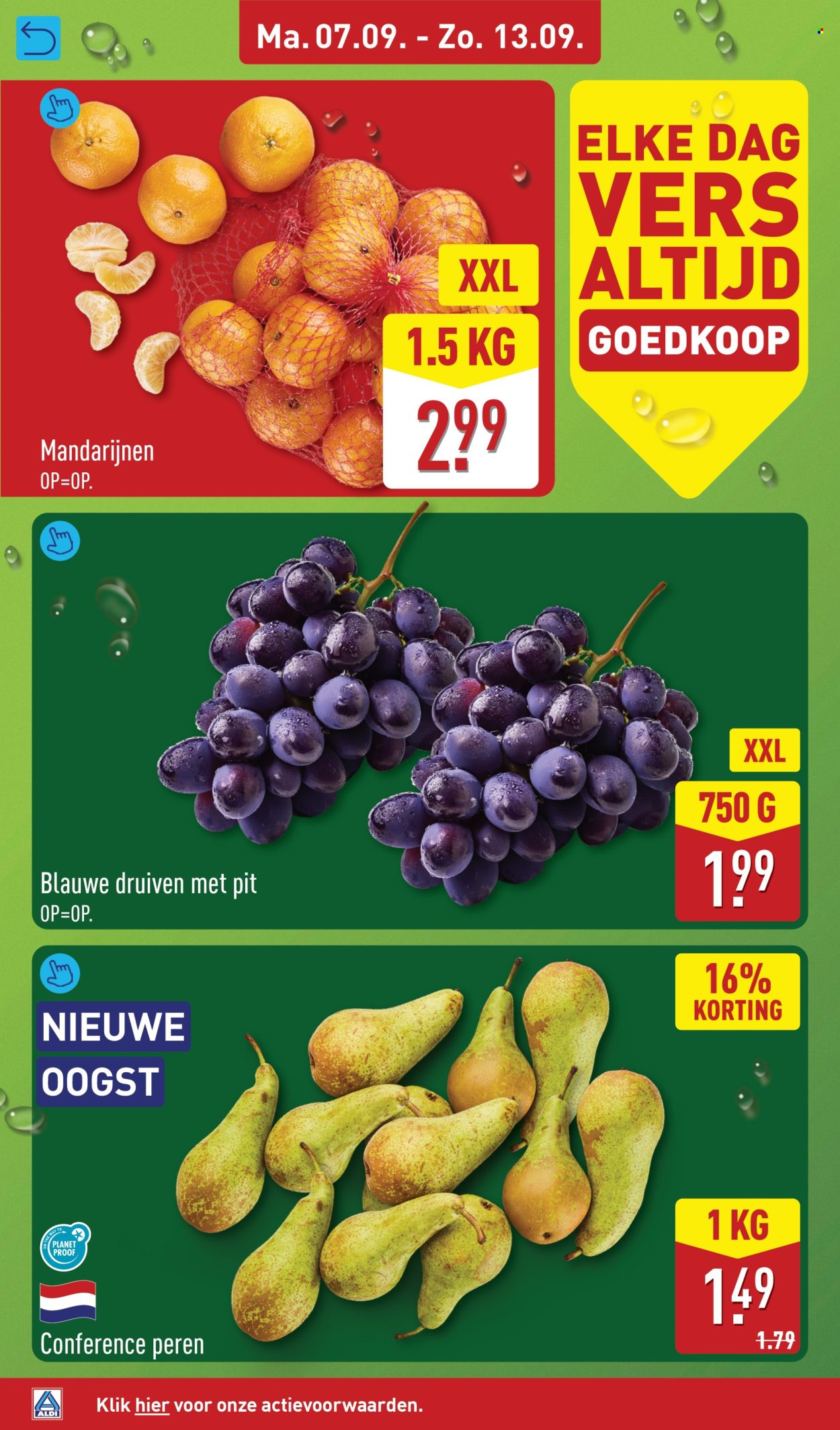 Aldi-aanbieding - 7-9-2026 - 13-9-2026. Pagina 4