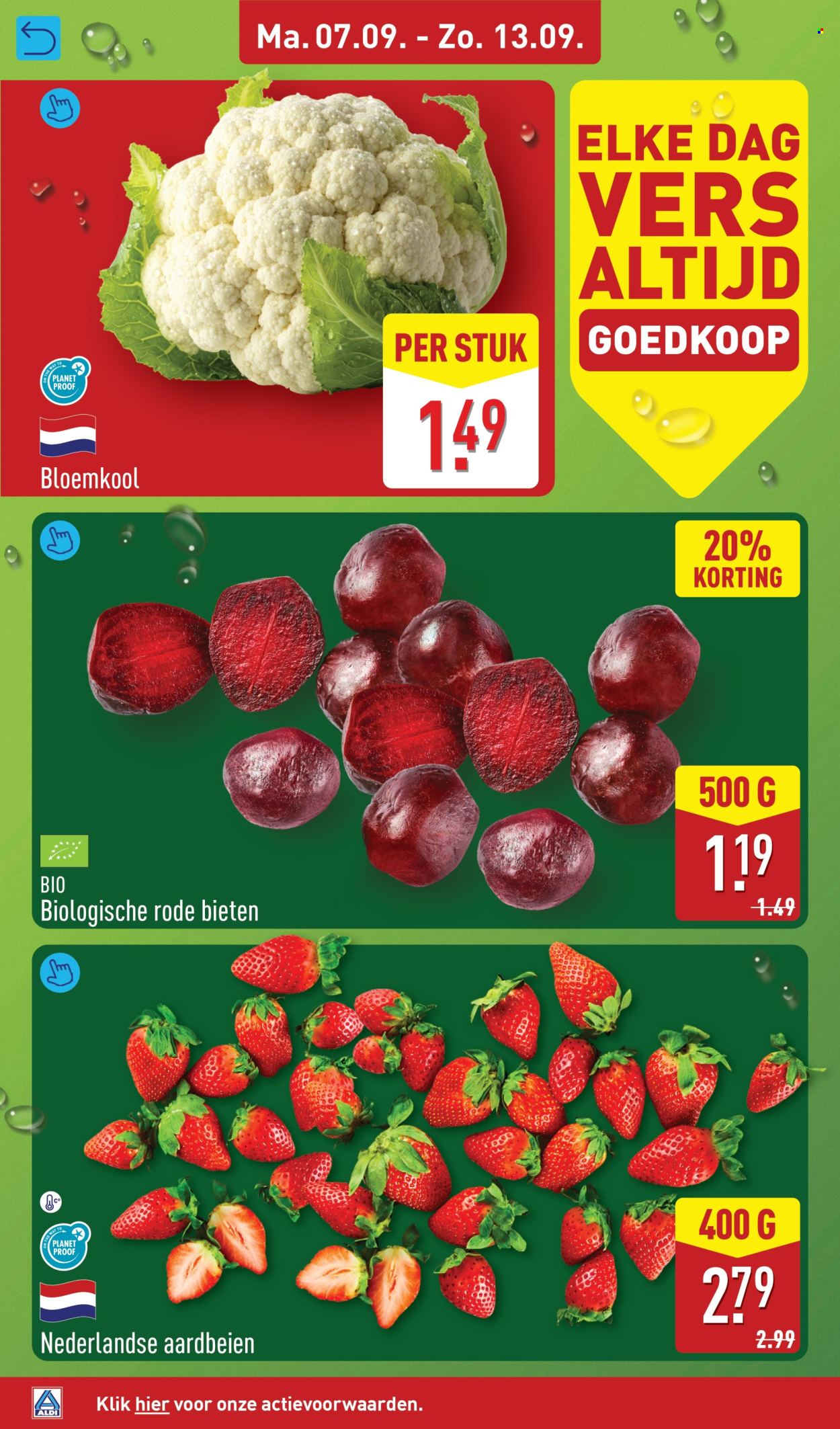 Aldi-aanbieding - 7-9-2026 - 13-9-2026. Pagina 6