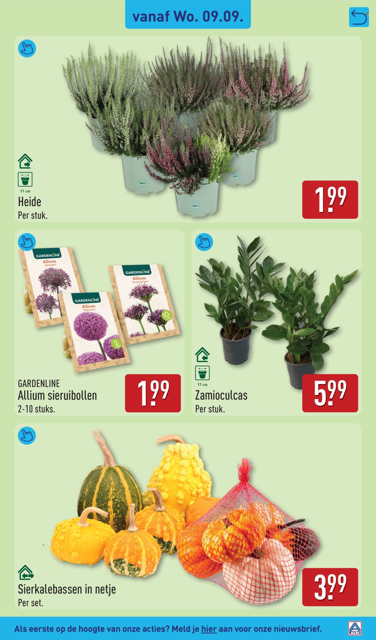 Aldi-aanbieding - 7-9-2026 - 13-9-2026. Pagina 35