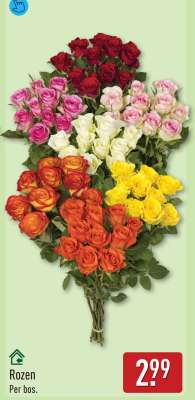Rozen