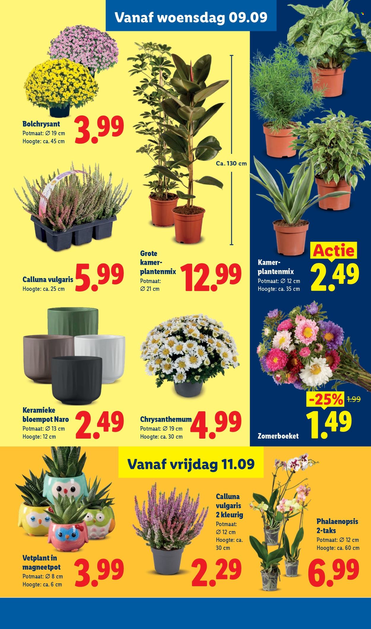 Lidl-aanbieding - 7-9-2026 - 13-9-2026. Pagina 37