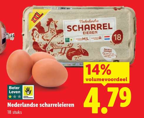 Nederlandse scharreleieren