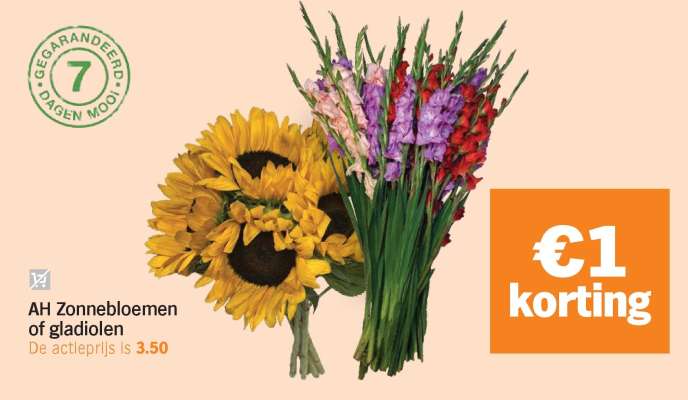 AH Zonnebloemen of gladiolen
