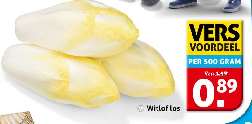 Witlof los