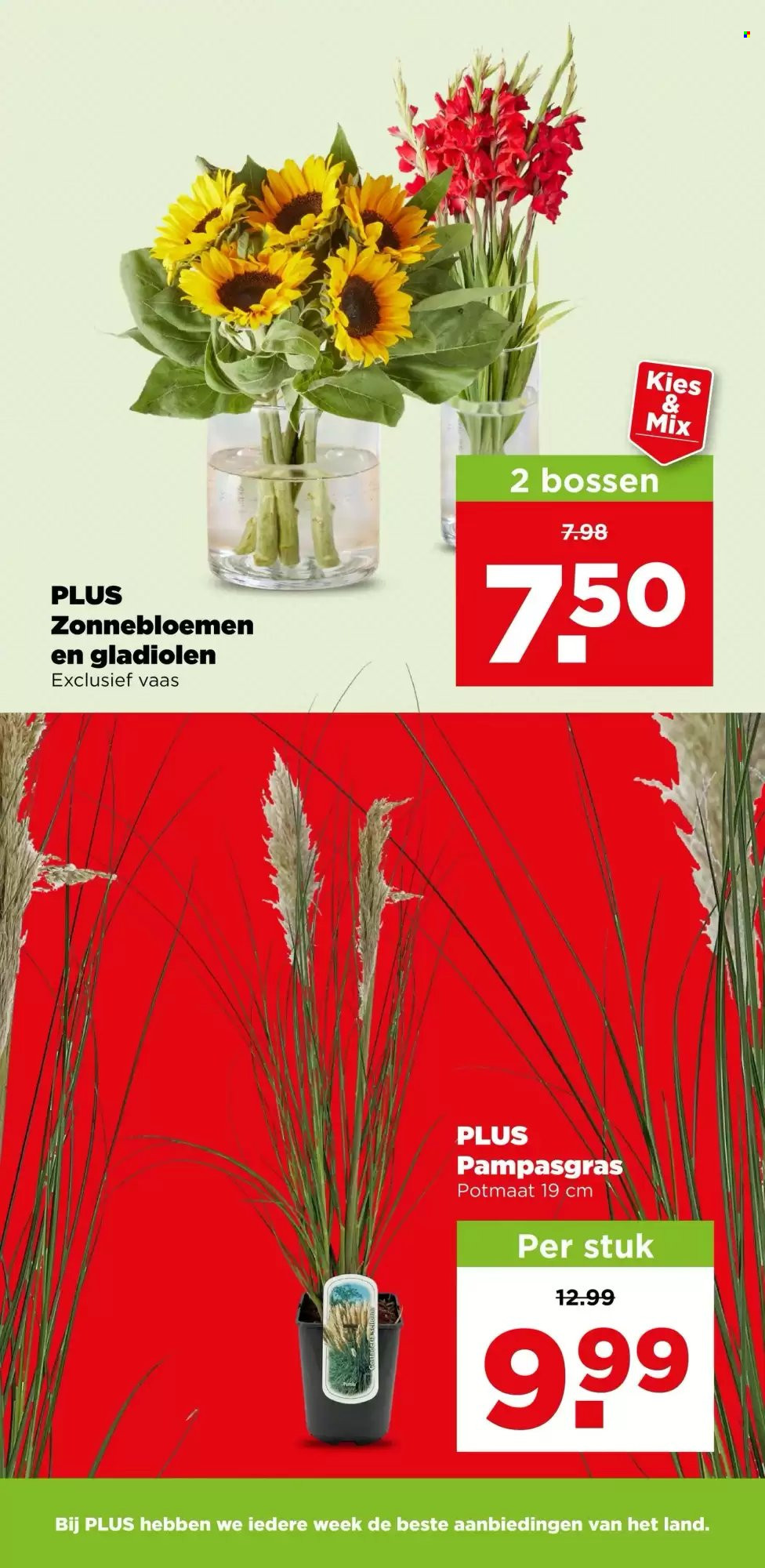 Plus-aanbieding - 9-9-2026 - 15-9-2026. Pagina 41