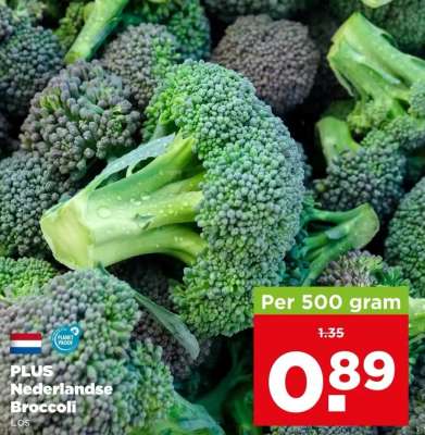 PLUS Nederlandse Broccoli