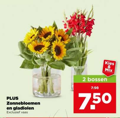 PLUS Zonnebloemen en gladiolen