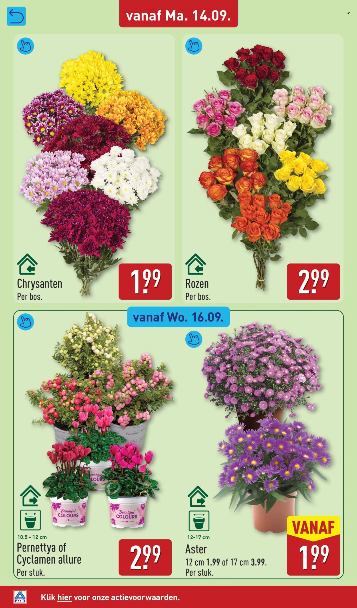 Aldi-aanbieding - 14-9-2026 - 20-9-2026. Pagina 32