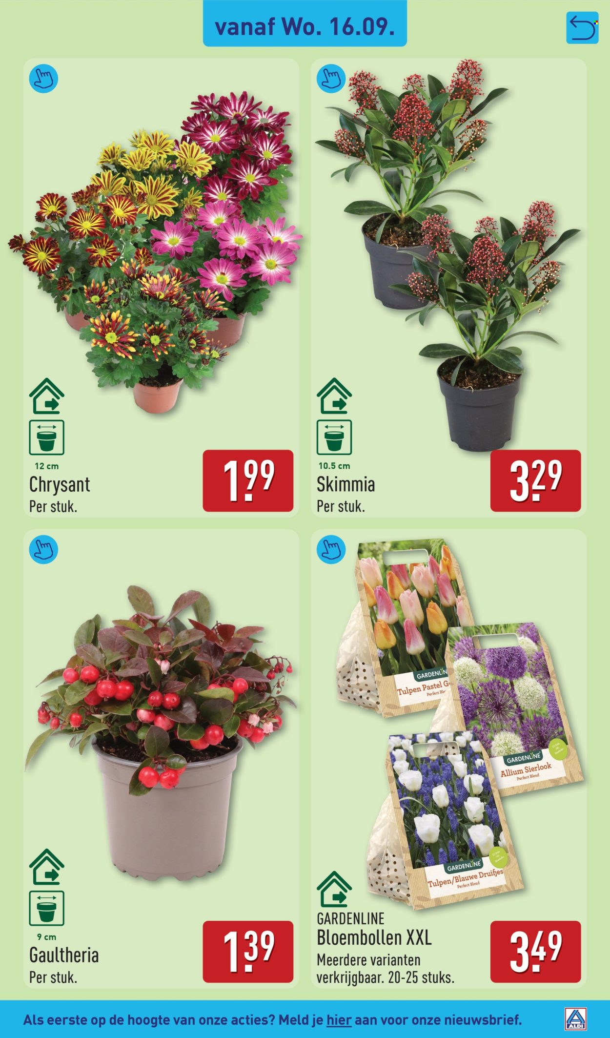 Aldi-aanbieding - 14-9-2026 - 20-9-2026. Pagina 33