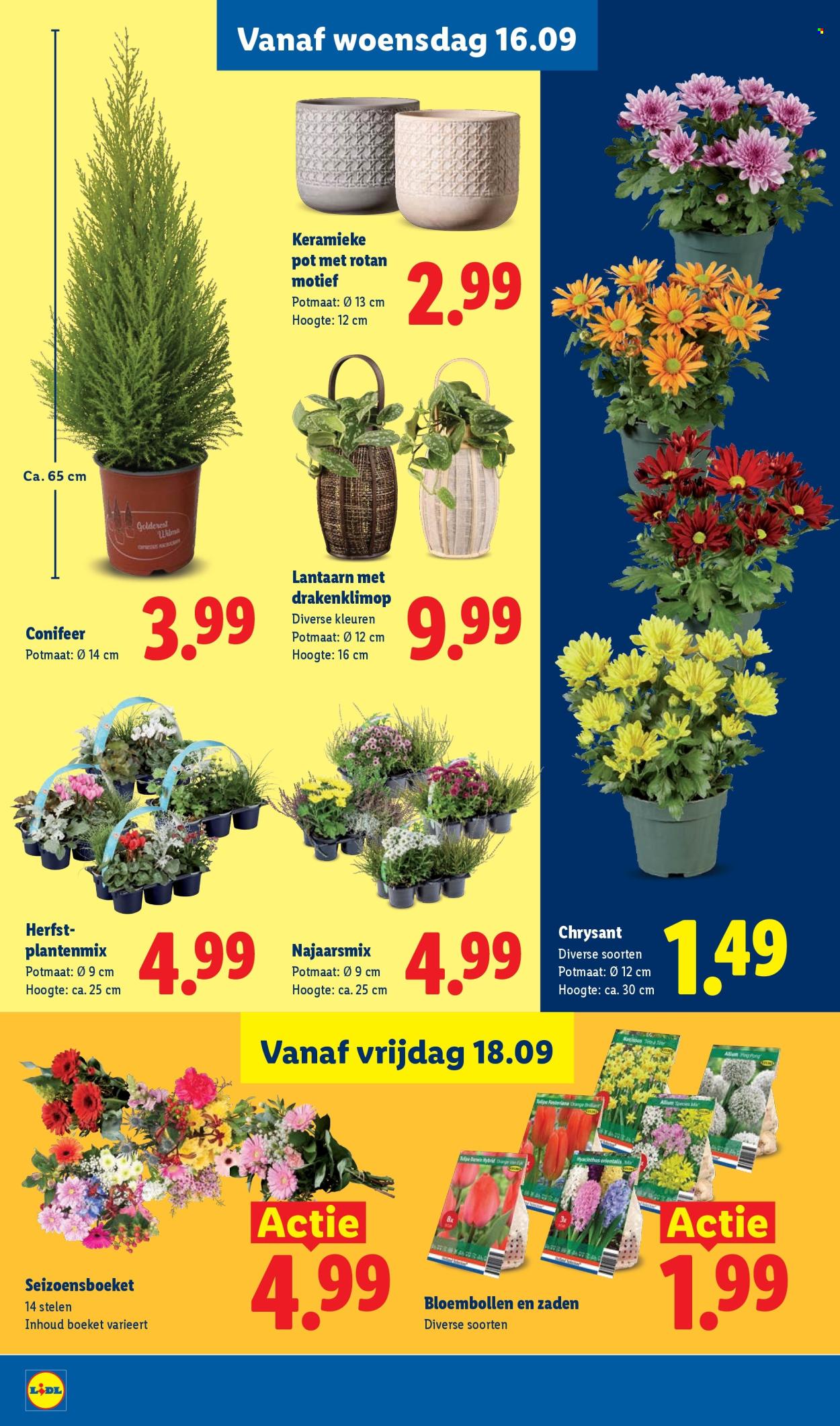 Lidl-aanbieding - 14-9-2026 - 20-9-2026. Pagina 18