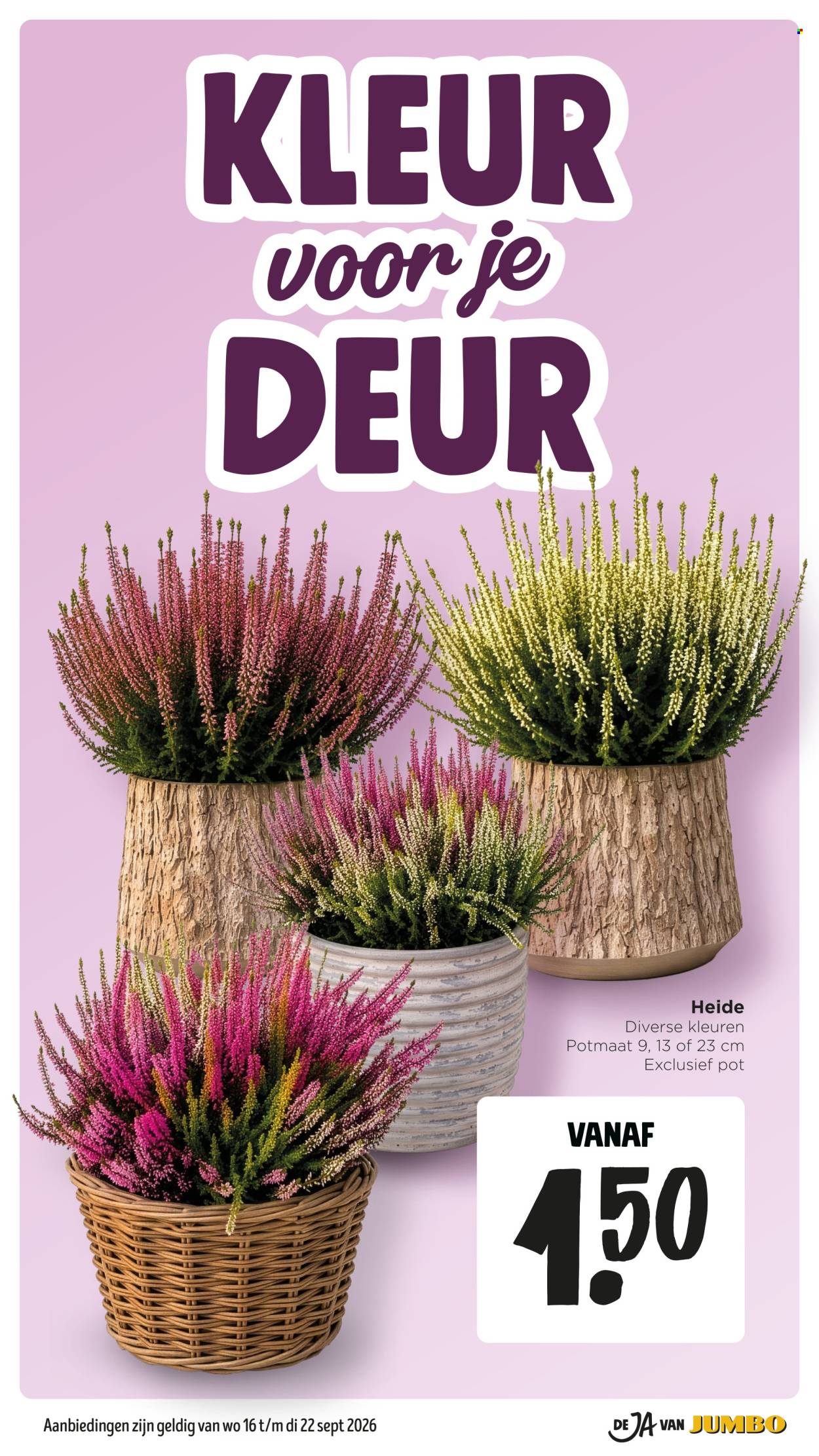 Jumbo-aanbieding - 16-9-2026 - 22-9-2026. Pagina 46