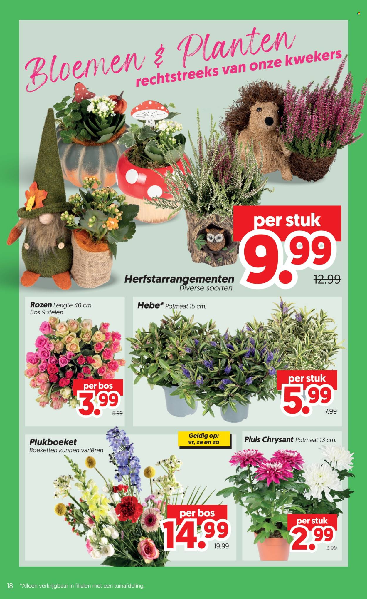 DekaMarkt-aanbieding - 15-9-2026 - 21-9-2026. Pagina 18