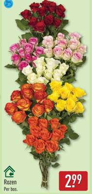 Rozen
