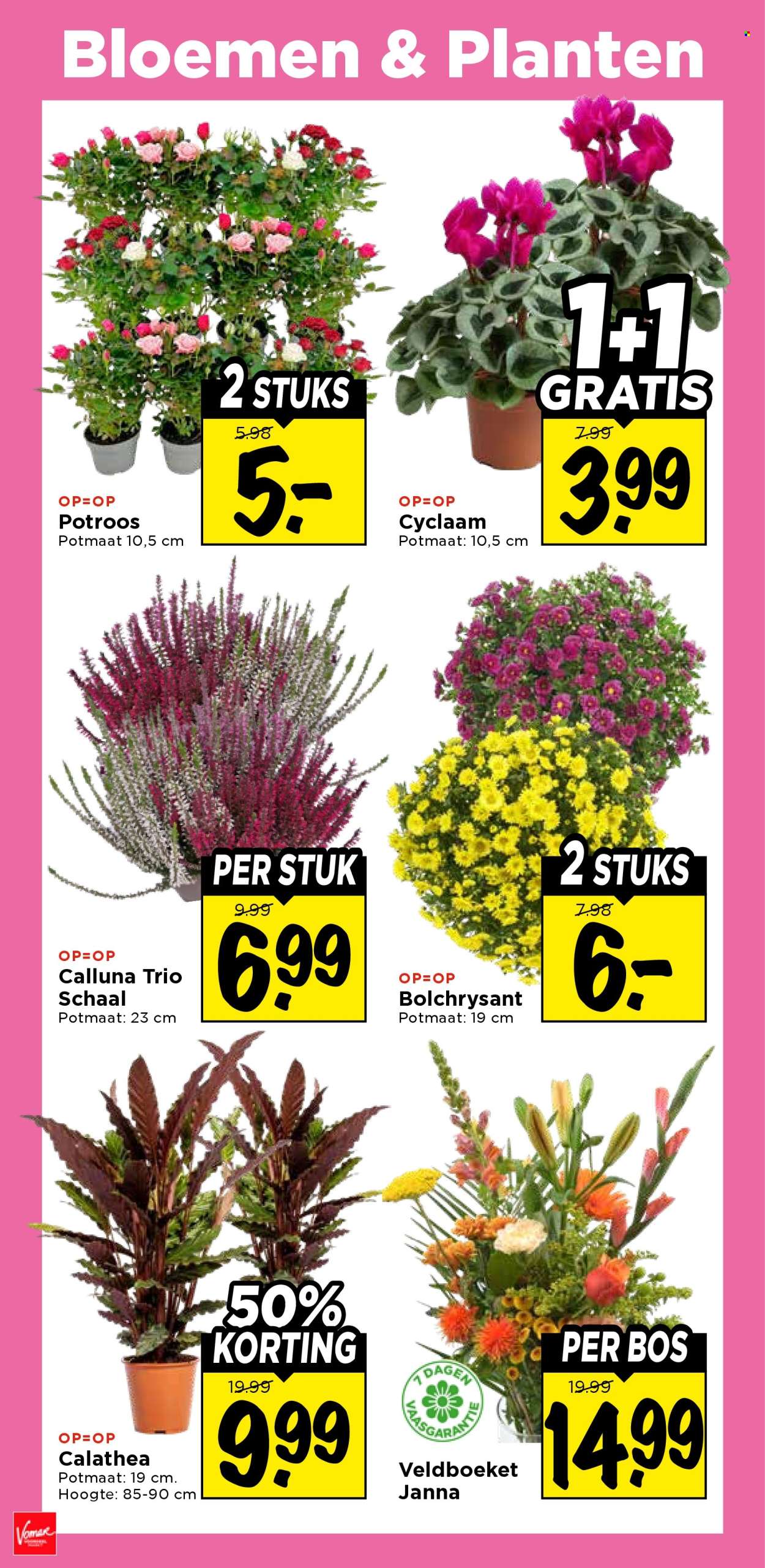 Vomar-aanbieding - 20-9-2026 - 26-9-2026. Pagina 31