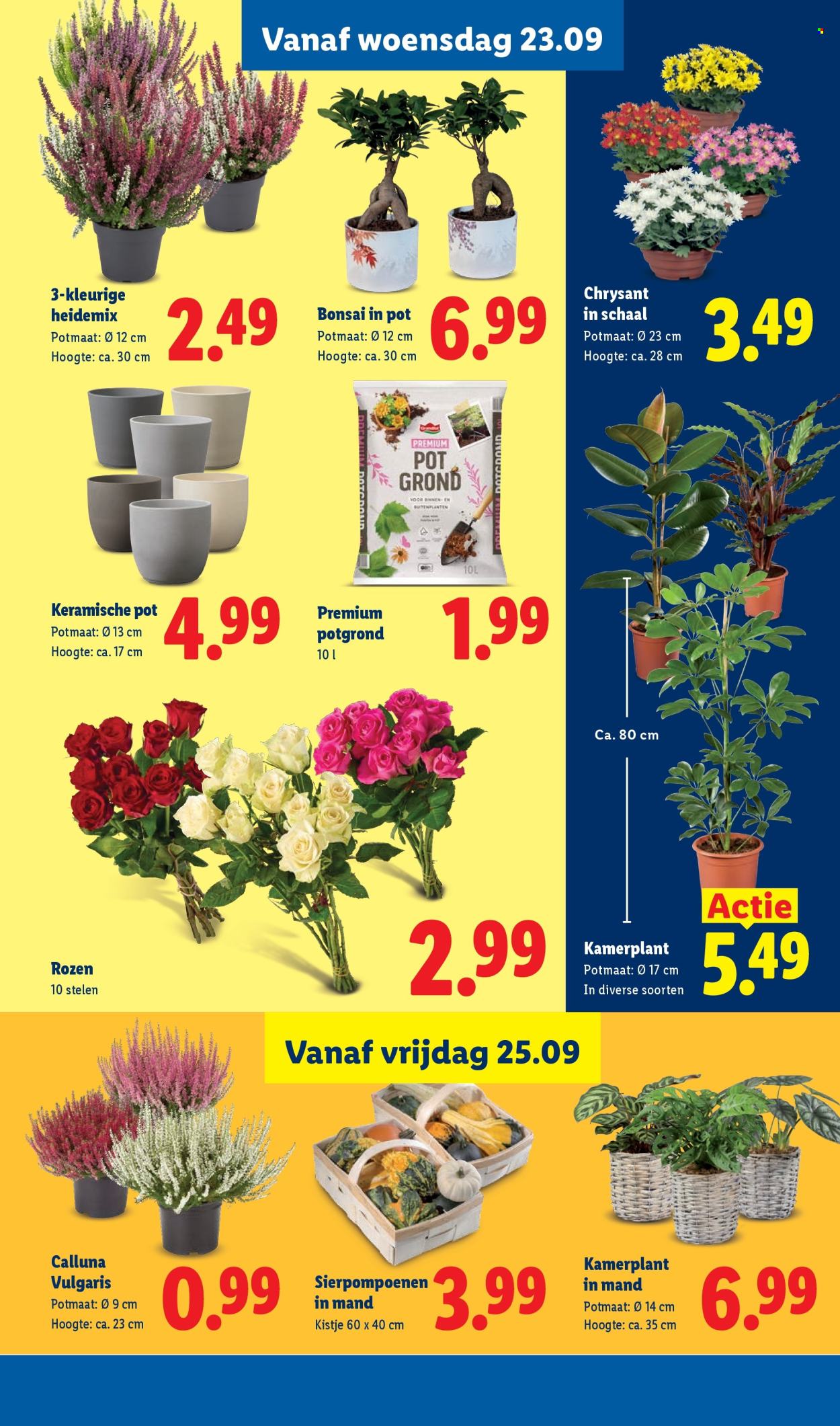 Lidl-aanbieding - 21-9-2026 - 27-9-2026. Pagina 16