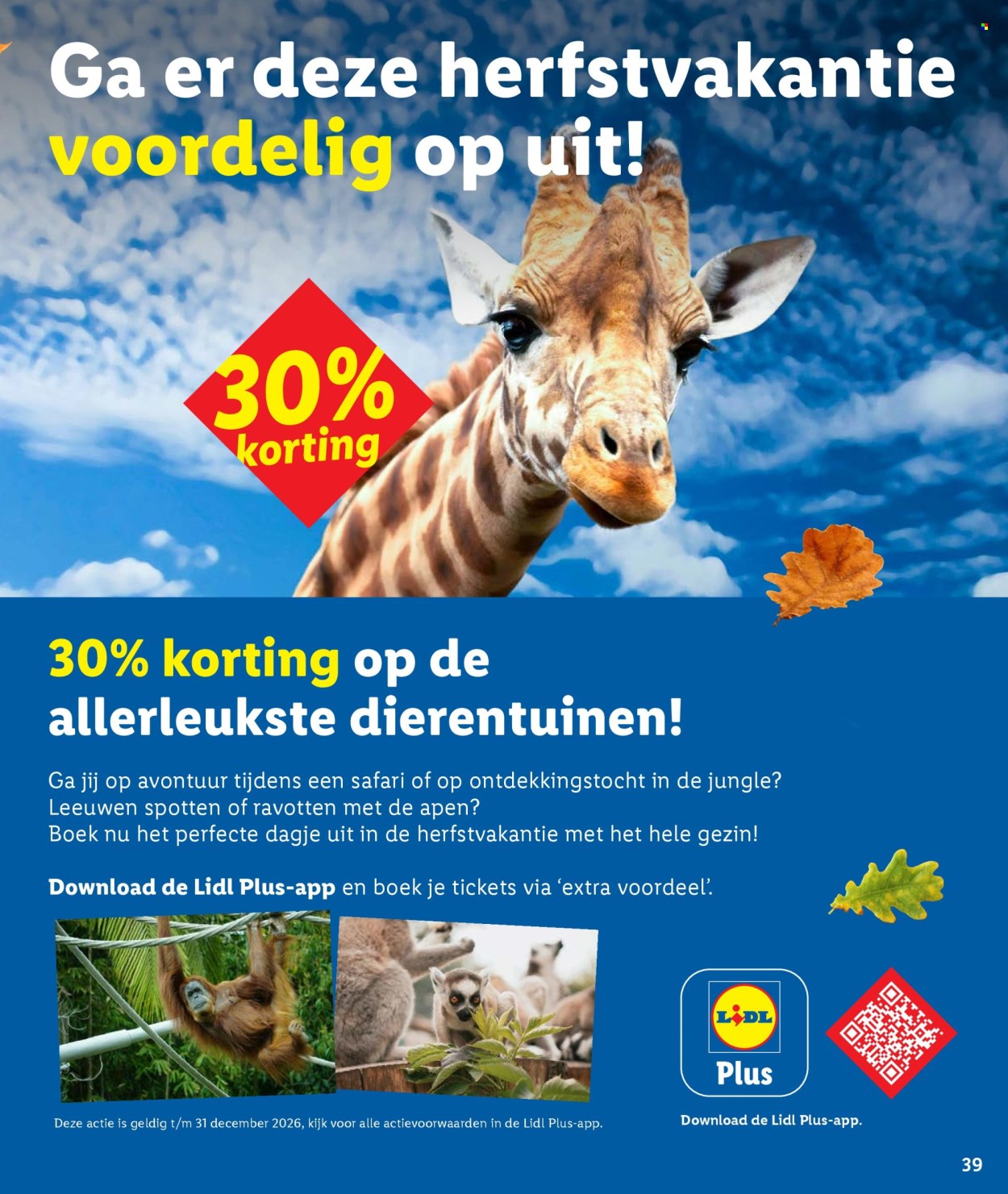 Lidl-aanbieding - 23-9-2026 - 1-11-2026. Pagina 39