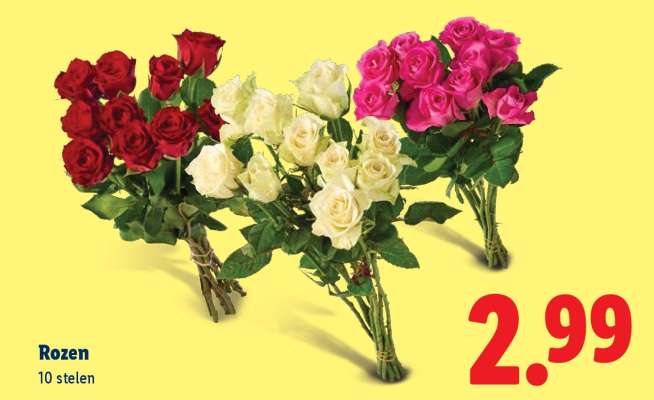 Rozen
