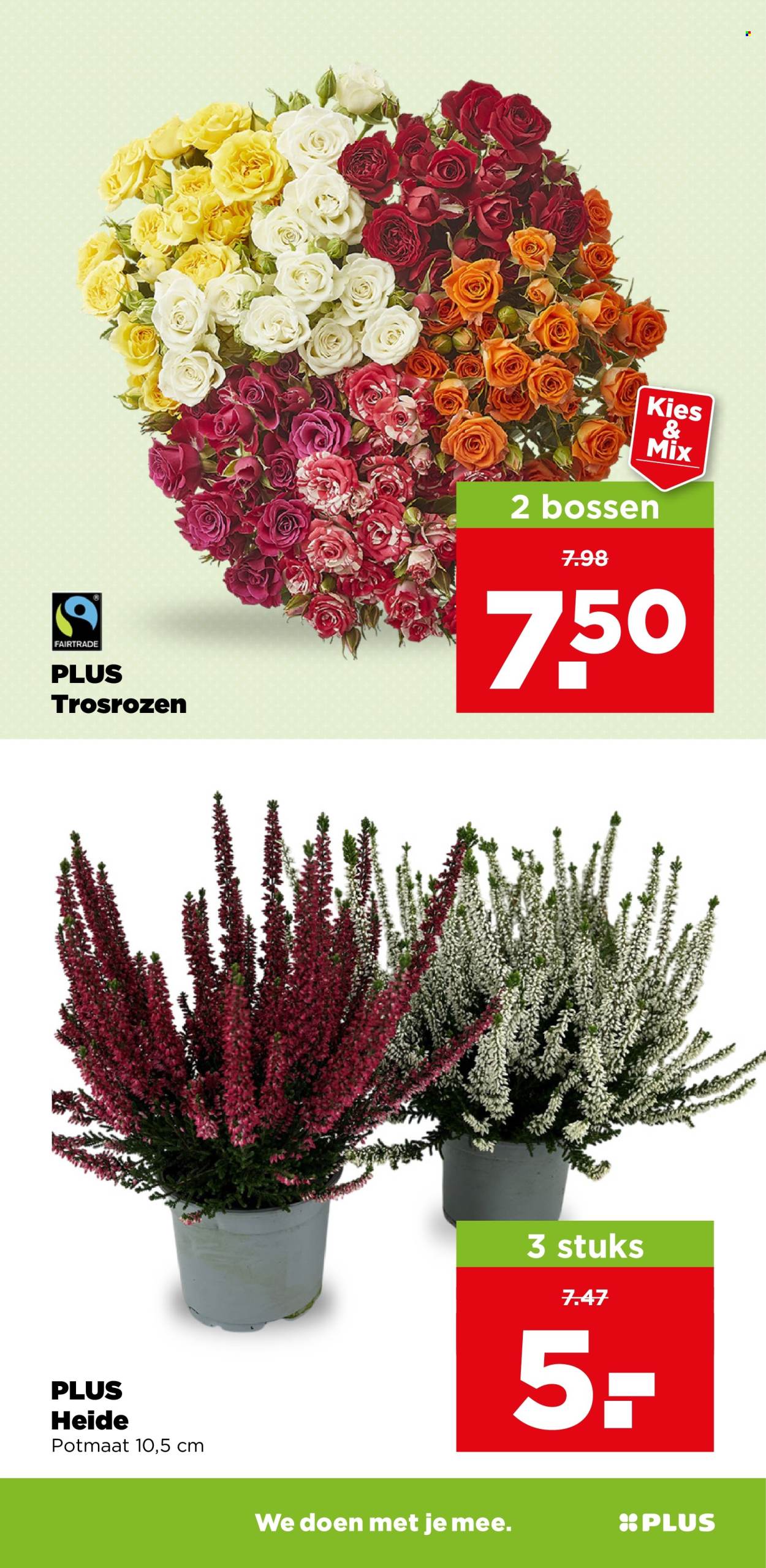 Plus-aanbieding - 23-9-2026 - 29-9-2026. Pagina 37