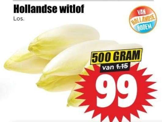 Hollandse witlof