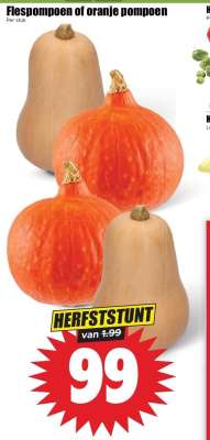 Flespompoen of oranje pompoen