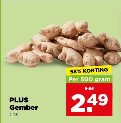 PLUS Gember
