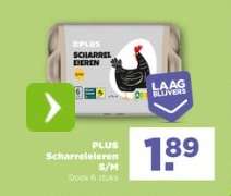 PLUS Scharreleieren S/M