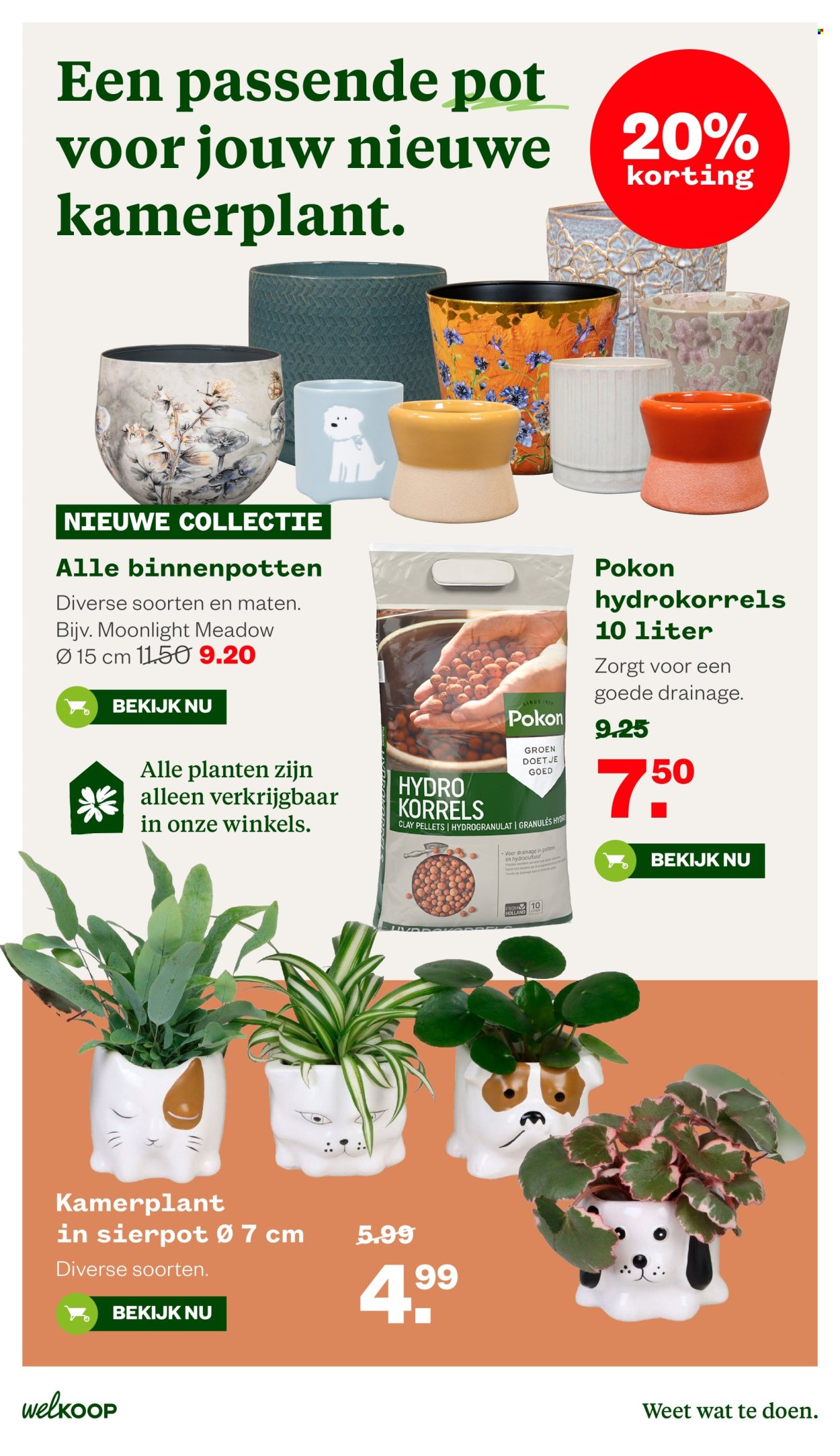 Welkoop-aanbieding - 21-9-2026 - 4-10-2026. Pagina 31
