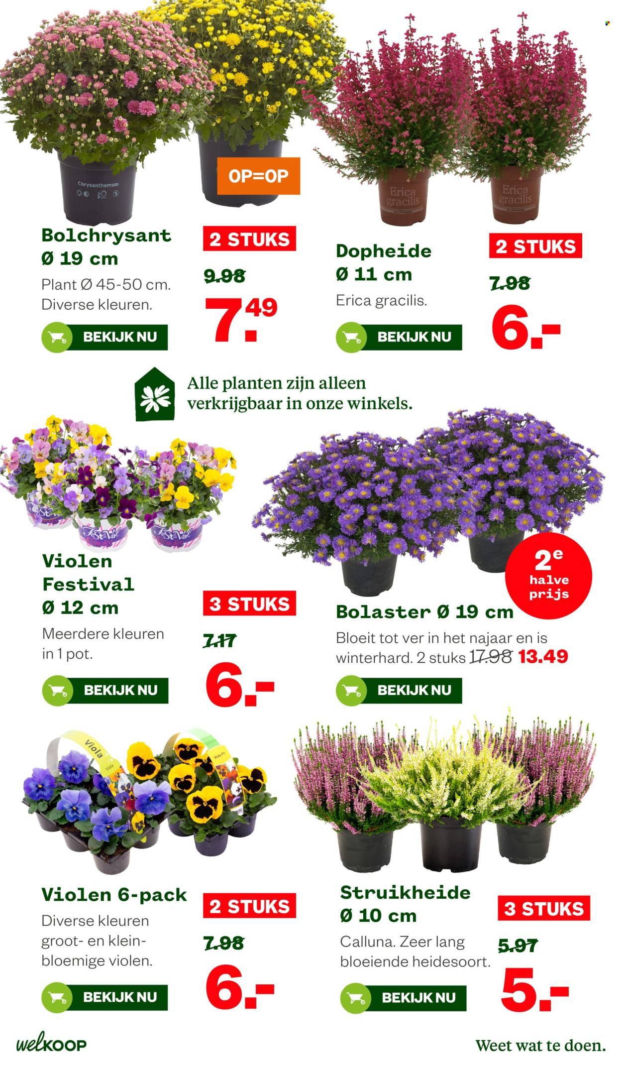 Welkoop-aanbieding - 21-9-2026 - 4-10-2026. Pagina 32