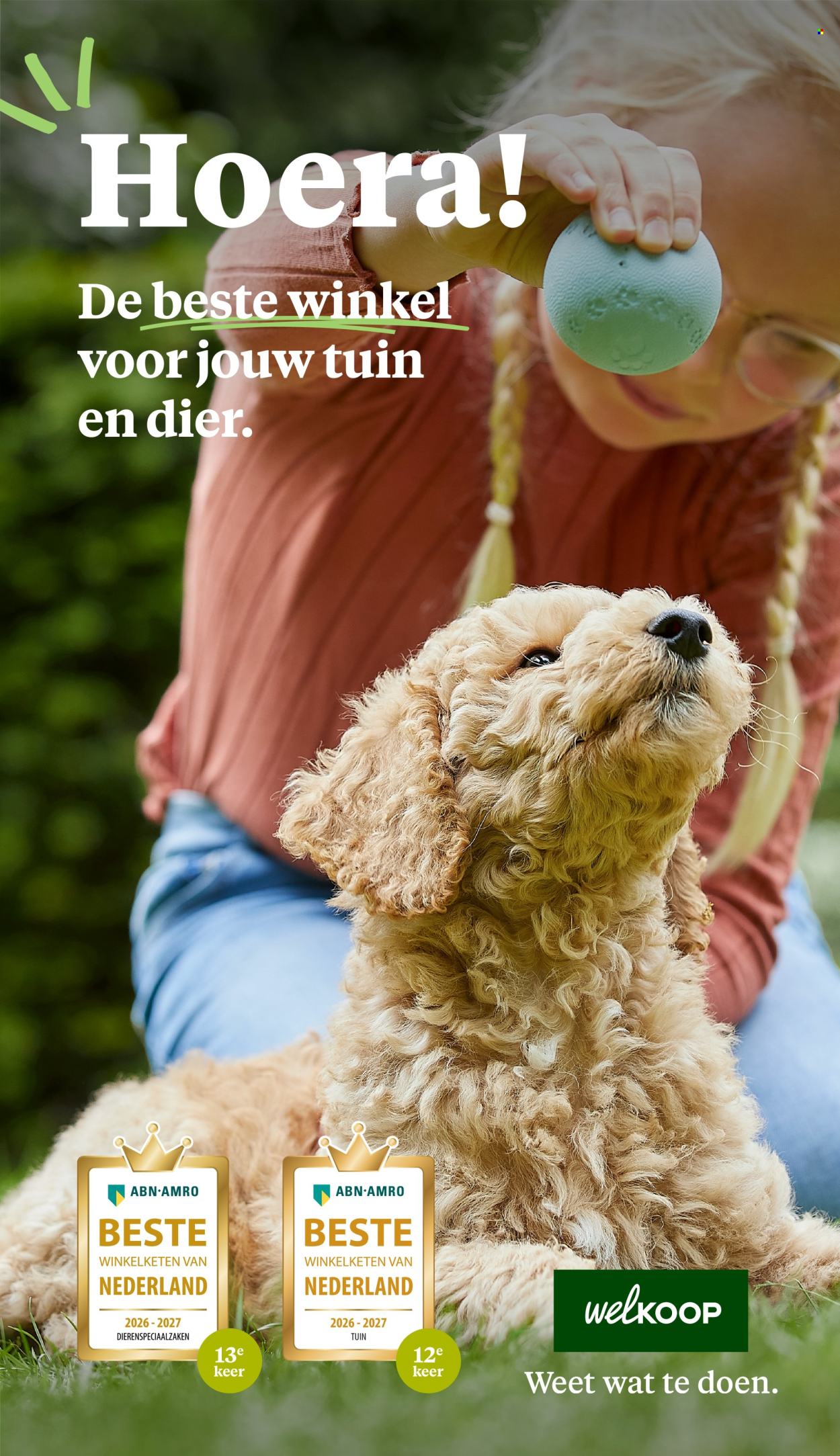 Welkoop-aanbieding - 21-9-2026 - 4-10-2026. Pagina 41