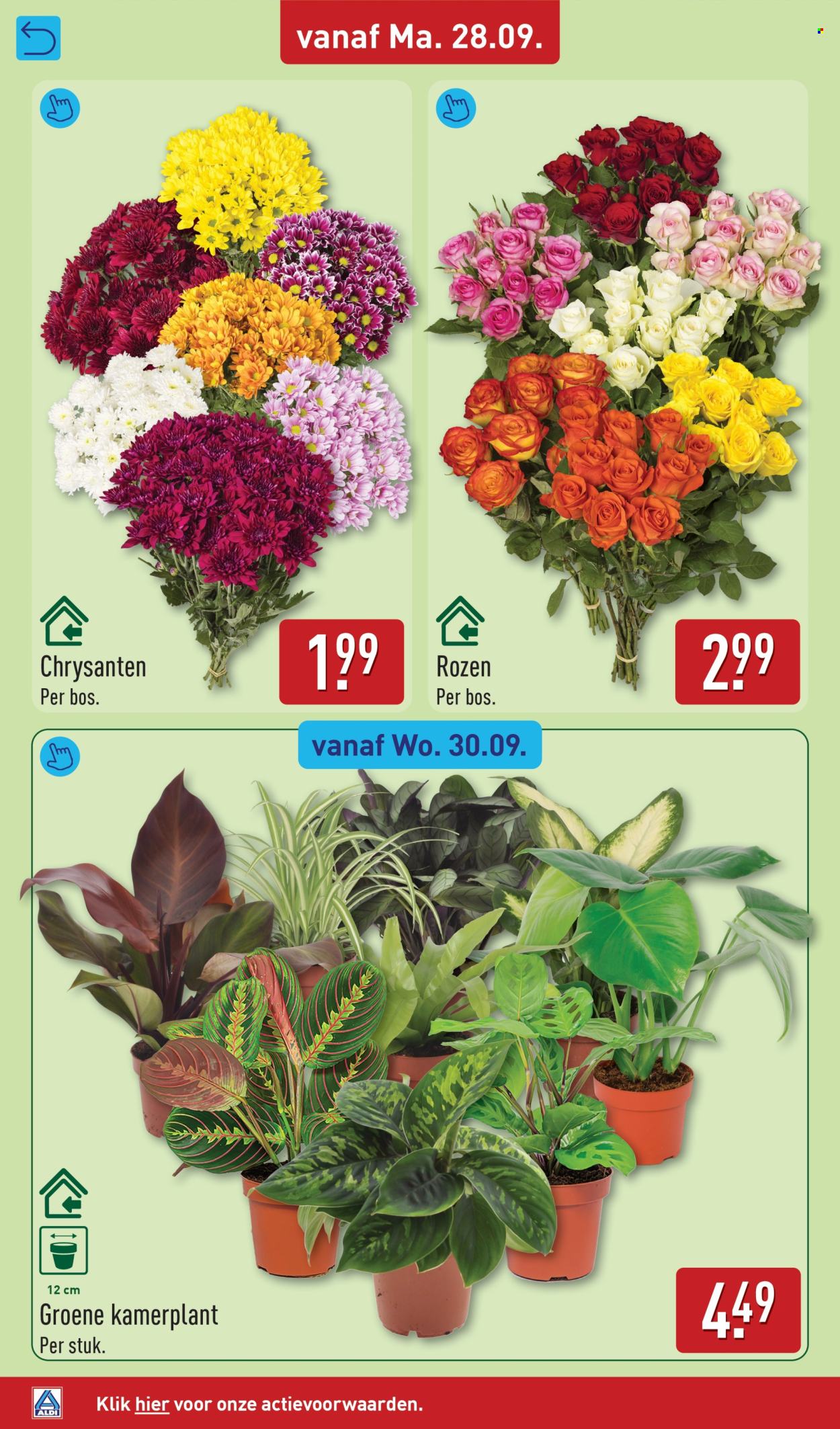 Aldi-aanbieding - 28-9-2026 - 4-10-2026. Pagina 36
