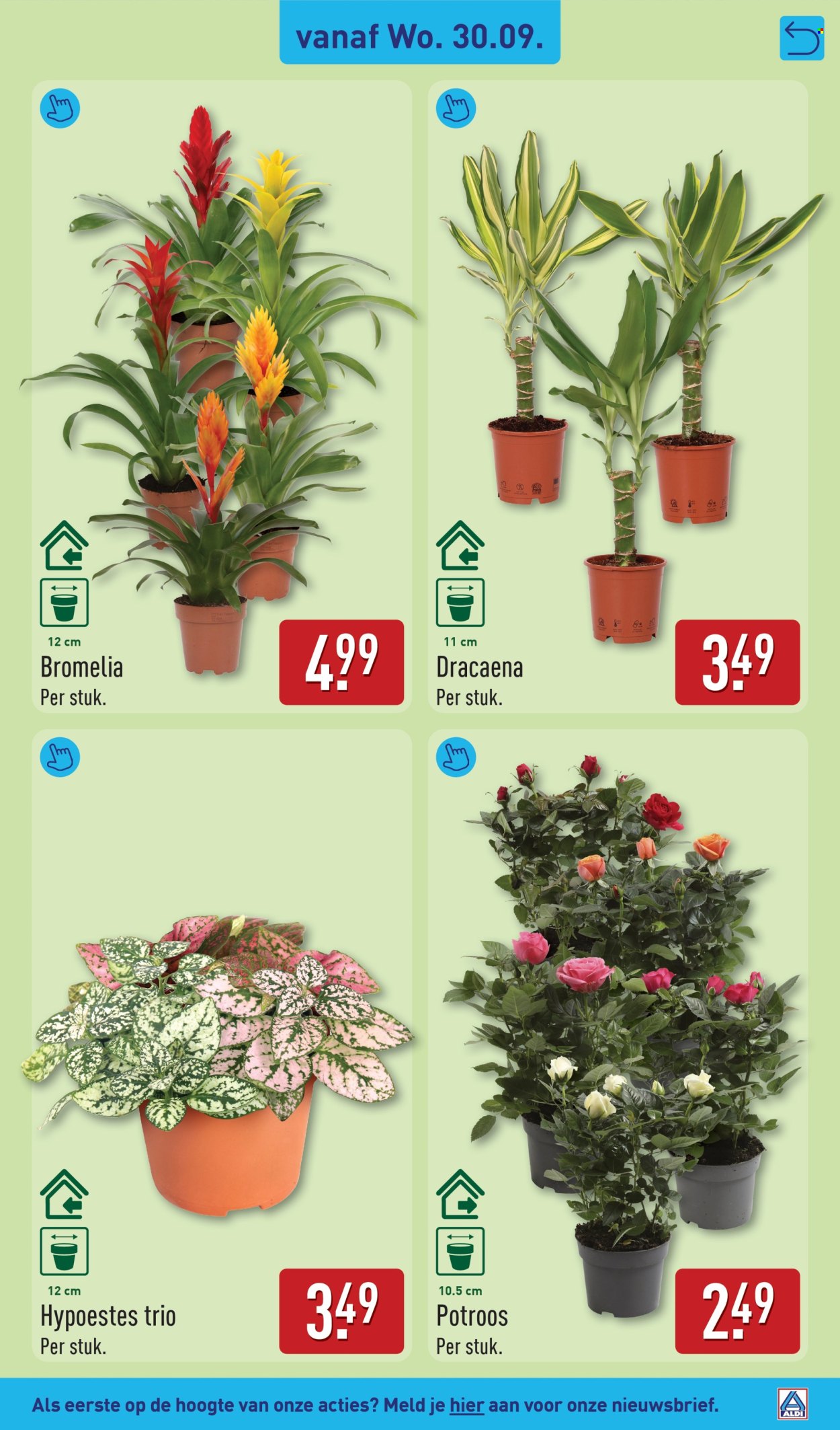 Aldi-aanbieding - 28-9-2026 - 4-10-2026. Pagina 37