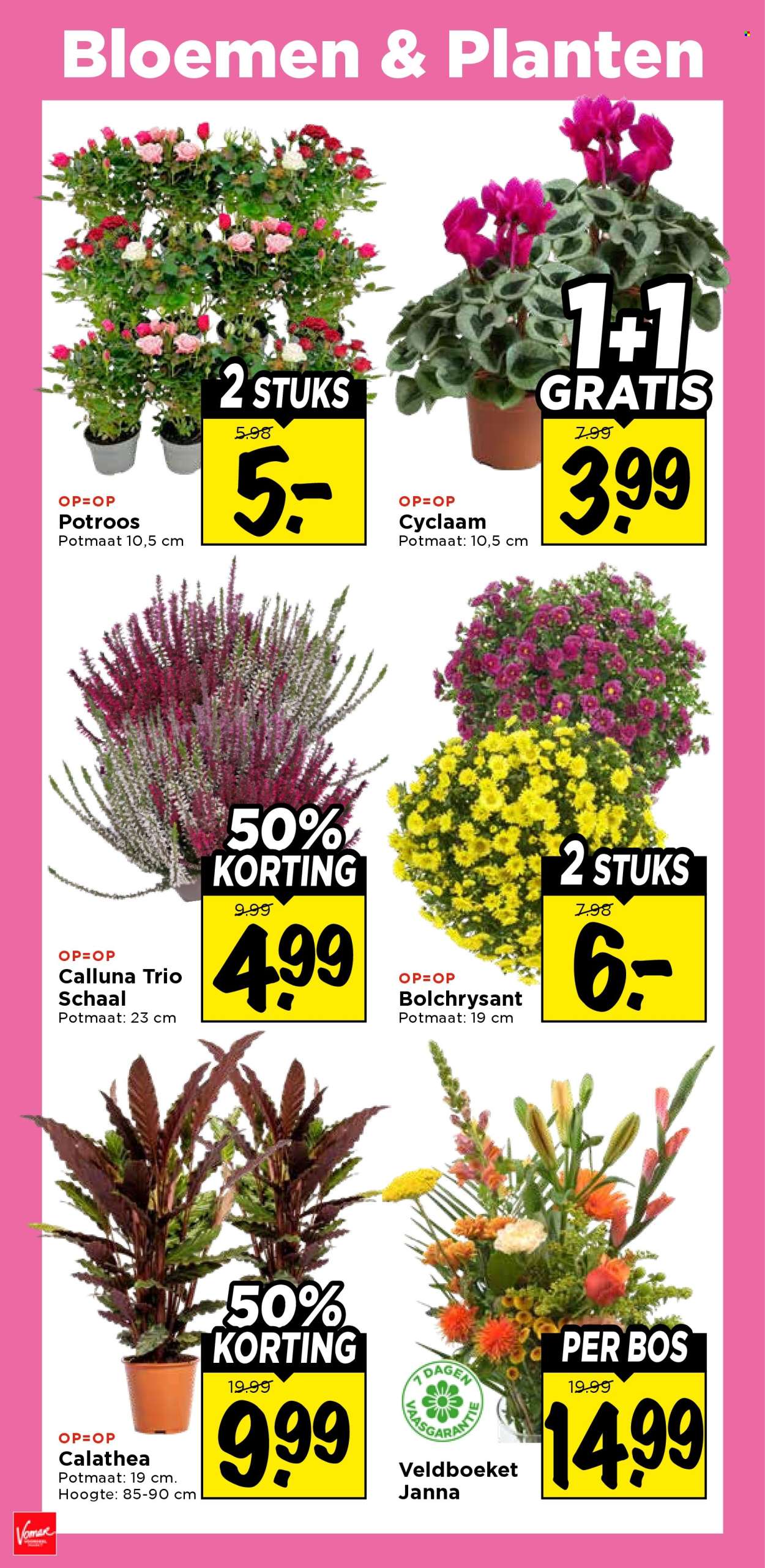 Vomar-aanbieding - 24-9-2026 - 26-9-2026. Pagina 36