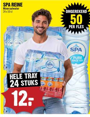 Spa Reine