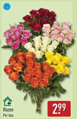 Rozen