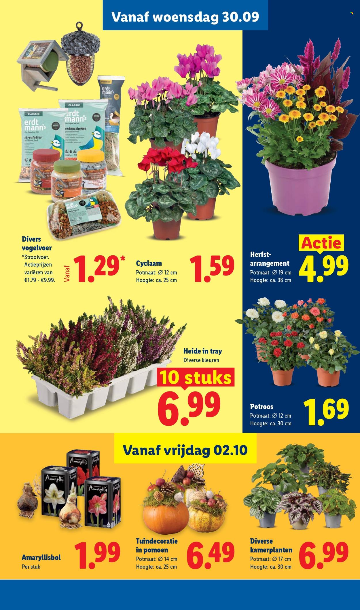Lidl-aanbieding - 28-9-2026 - 4-10-2026. Pagina 22