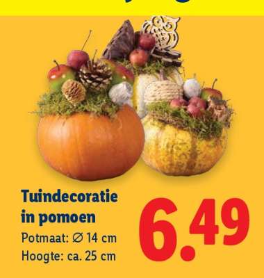 Tuindecoratie in pompoen
