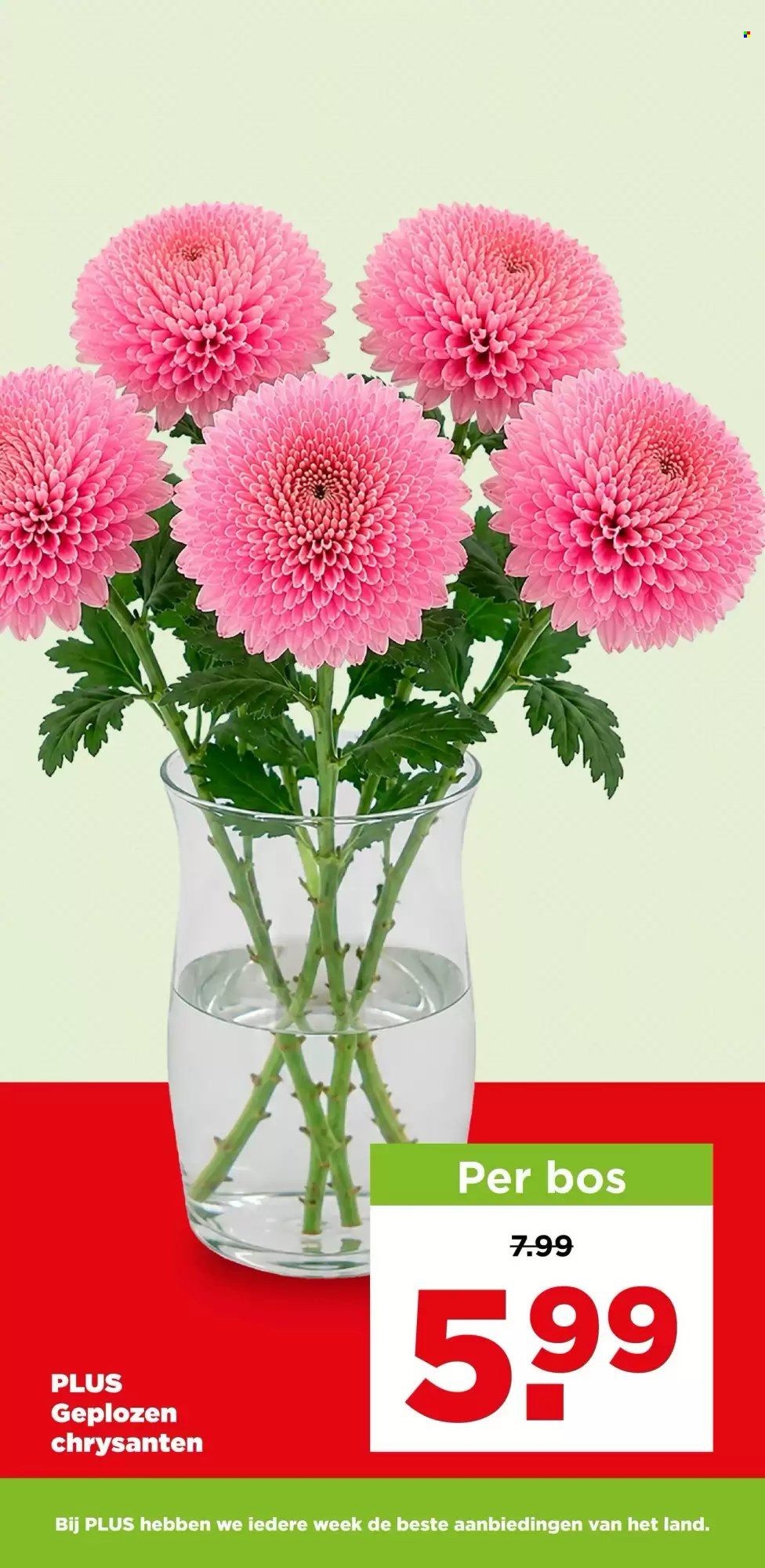 Plus-aanbieding - 30-9-2026 - 6-10-2026. Pagina 43